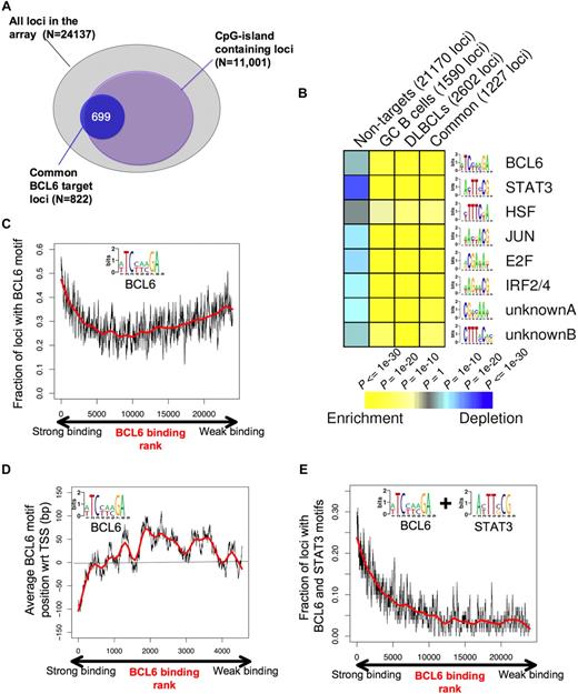 Figure 6. BCL6 target genes display specific genomic features and DNA elements. (A) The diagram depicts the overlap between the overlapping BCL6 genes between normal and malignant B cells (blue circle) and CpG island-containing loci among the entire pool of 24 137 promoters contained on the array. (B) Analysis of the BCL6 target gene cohort by FIRE identified 8 DNA elements significantly overrepresented among BCL6 target genes identified in GC cells (CB), DLBCL cells, the common target genes, or in the cohort of non-BCL6 targets (columns). Yellow represents highly enriched; and blue, relative depletion. The statistical significance of the heatmap color code is provided. (C) The graph represents the distribution of genes ordered according to the strength of BCL6 binding in ChIP-on-chip on the x-axis and the frequency with which genes contain the BCL6 consensus site identified by FIRE (inset), using a sliding window of 100 genes. (D) Genes are distributed along the x-axis according to BCL6 binding, and the y-axis depicts the position of the FIRE-identified BCL6 motif occurrences relative to the transcriptional start site (set at 0). Negative numbers are upstream and positive numbers downstream of the start site. Similar to panel C, the y-axis corresponds to the average position of BCL6 motif occurrences with respect to the transcription start site using a sliding window of 100 genes. Only genes containing at least one occurrence of the BCL6 motif were considered. (E) Similar to panel C, the graph represents BCL6 binding on the x-axis, but the y-axis shows the frequency at which genes contain both BCL6 and STAT3-binding elements.