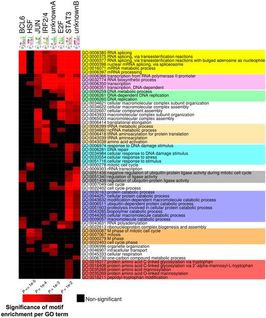 Figure 7. Consensus motif identification by FIRE distribute to different GO terms. PAGE was performed to identify GO terms (rows) associated with BCL6 target genes according to the presence of the several DNA elements identified by FIRE (columns). Brighter red color is indicative of enrichment of the respective motifs for the indicated GO terms. The differently colored shading of the GO terms is provided to highlight those that are preferentially associated with different subsets of binding motifs. The statistical significance of the heatmap color code is provided.