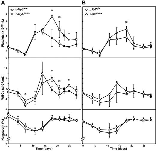 Figure 3. Recovery in c-MybPlt4/+ and p300Plt6/+ mice after 5-FU–induced thrombocytopenia. Platelet count (top panel), white blood cell count (middle panel), and hematocrit (bottom panel) in (A) c-MybPlt4/+ (squares) or wild-type (c-Myb+/+, circles) mice, and (B) p300Plt6/+ (triangles) or wild-type (p300+/+, circles) mice were determined after administration of 5-FU. Data points represent the mean ± SD from separate cohorts of mice analyzed at the times indicated. *P < .05 in Student t test for comparison of data from c-MybPlt4/+ mice with that of c-Myb+/+ controls, or p300Plt6/+ mice with that of p300+/+ controls. n = 2 (closed symbols) or 3 to 12 mice (open symbols) per point.