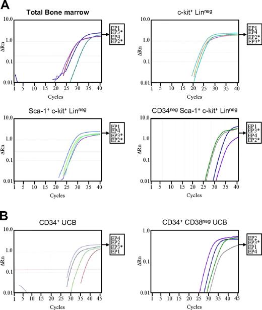 Figure 3. Amplification plots for mRNA for PGE2 receptors. (A) Primers designed to specifically detect murine EP1, EP2, EP3, or EP4 were used for QRT-PCR (with SYBR green) and plots with an activation step of 50°C for 2 minutes, denaturation at 95°C for 2 minutes, and amplification for 45 cycles at 95°C for 15 seconds, 50°C for 30 seconds, and 72°C for 30 seconds are shown. Plots corresponding to specific EP receptors are indicated in each amplification plot, where the legend key on the right shows the relative order of transcripts top to bottom. *Denotes the presence of at least 2 dissociation peaks indicating the presence of splice variants. (B) EP receptor amplification on human UCB CD34+ and CD34+ CD38− cells with the same QRT-PCR procedure as described for panel A.