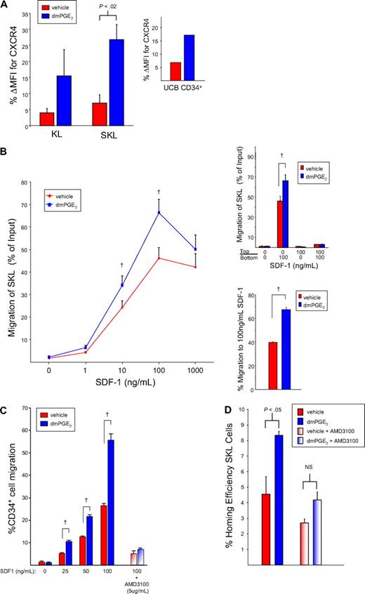 Figure 5. CXCR4 receptor expression is increased on murine and human HSPCs after dmPGE2 treatment. (A) CXCR4 expression (mean ± SEM; n = 3) on murine KL and SKL cells, and human CD34+ UCB cells 24 hours after treatment with dmPGE2. Data are expressed as percentage change in mean fluorescence intensity (MFI) of CXCR4 due to treatment with dmPGE2 or vehicle. (B) Freshly isolated Linneg cells were pulsed with dmPGE2 or vehicle for 2 hours, washed, and resuspended in media with 10% HI-FCS and cultured at 37°C for 16 hours. After incubation, cells were washed, resuspended in RPMI/0.5% BSA, and allowed to migrate to rmSDF-1α for 4 hours. Total cell migration was quantitated by flow cytometry. Data are the mean plus or minus SEM percentage migration for 3 experiments. (†P < .05 for dmPGE2-treated cells compared with cells treated with vehicle.) (Top inset) Percentage migration of gated SKL cells to positive (100 ng/mL SDF-1 in bottom chamber), negative (100 ng/mL SDF1 in upper chamber), or neutral (100 ng/mL SDF-1 in both upper and bottom chambers) gradients. Data are the mean ± SEM percentage migration for 3 experiments. (†P < .05 for dmPGE2-treated cells compared with cells treated with vehicle.) (Bottom inset) Percentage migration of sorted SKL cells to 100 ng/mL SDF-1. Data are the mean plus or minus SEM percentage migration for 3 experiments. (†P < .05 for dmPGE2-treated cells compared with cells treated with vehicle.) (C) Freshly isolated UCB CD34+ cells were pulsed with dmPGE2 or vehicle for 2 hours, washed, and resuspended in media with 10% HI-FCS and cultured at 37°C for 16 hours. After incubation, cells were washed and resuspended in RPMI/0.5% BSA, and migration to rhSDF-1 was quantitated by flow cytometry. To block the CXCR4 receptor, replicate cells were incubated with 5 μg/mL AMD3100 for 30 minutes prior to the migration assay. Data are the mean plus or minus SEM percentage migration for 3 experiments. (†P < .05 for dmPGE2-treated cells compared with cells treated with vehicle.) (D) Homing efficiency of vehicle- and dmPGE2-treated cells to bone marrow in the absence and presence of 10 μM AMD3100. Cells were incubated with AMD3100 for 30 minutes prior to the homing assay. Data are expressed as mean plus or minus SEM; n = 3 mice/group, each assayed individually.