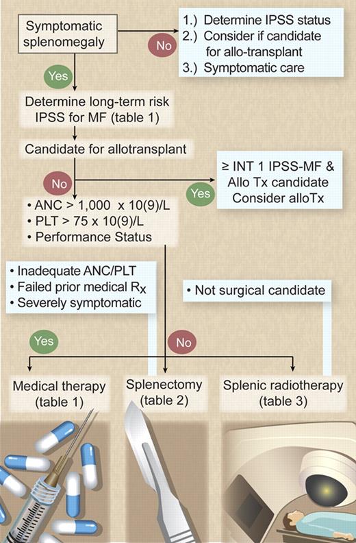 Figure 1. Management algorithm for symptomatic splenomegaly in MF. Illustration by Debra T. Dartez.
