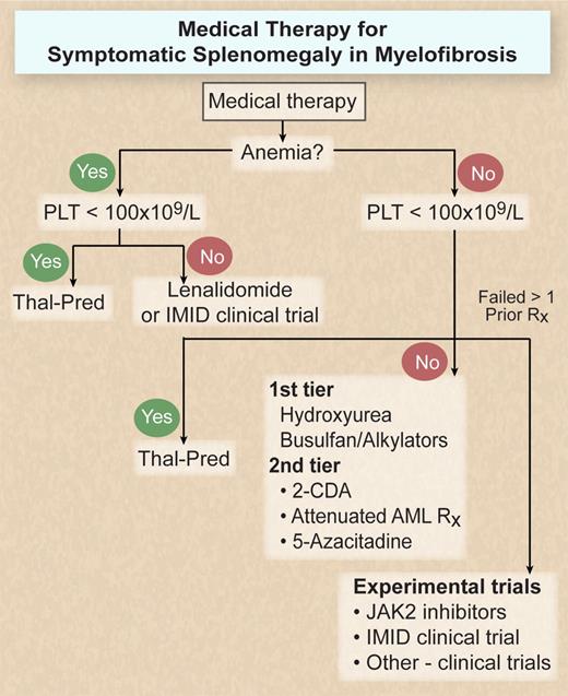 Figure 2. Medical therapy algorithm for symptomatic splenomegaly in MF. Illustration by Debra T. Dartez.