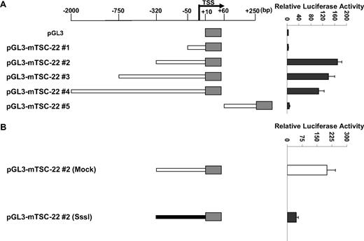 Figure 3. TSC-22 promoter hypermethylation attenuates gene expression. (A) Luciferase reporter assays in 293T cells transfected with variable lengths of the mouse (m) TSC-22 promoter indicate that strong promoter activity occurs within the −320-bp proximal region. (B) In vitro methylation of the −320-bp promoter of TSC-22 with Sss1 DNA methyltransferase (shaded bar) indicates that methylation of the −320-bp promoter region significantly inhibits TSC-22 promoter activity, which was detected by luciferase assays, compared with an unmethylated control construct (unshaded bar; P < .05). Error bars indicate standard deviations for triplicates in 1 of 3 representative experiments (A,B).