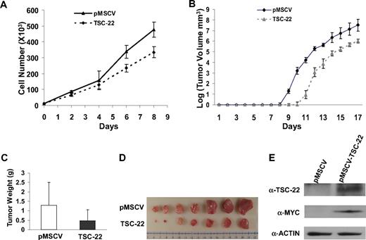 Figure 5. Ectopic expression of TSC-22 in malignant cells inhibits cell proliferation and delays tumor formation in vivo. (A) Growth of YAC-1 cells transfected with a pMSCV vector containing TSC-22 exhibited significant inhibition of proliferation in vitro compared with YAC-1 cells transfected with the empty vector alone (P < .05). This experiment was repeated 3 times with similar results. (B) In vivo tumorigenesis resulting from subcutaneous injection of YAC-1 cells ectopically expressing TSC-22 or the pMSCV vector alone into NOD-SCID mice. Tumor size was measured daily. Overexpression of TSC-22 in YAC-1 cells delays the onset of tumor formation in vivo by an average of 2 days (P < .05). (C) The weights of tumors collected from mice killed at the end of the in vivo experiment (day 17). The average weight of tumors formed from YAC-1 cells ectopically expressing TSC-22 was less than that of tumors formed from the YAC-1 cells transfected with the vector alone (P < .05). (D) Photograph of the representative tumor pairs excised from killed mice that had been injected with YAC-1 cells ectopically expressing the pMSCV vector alone (top) or TSC-22 (bottom). (E) Western blot detection of the TSC-22 protein levels in tumors derived from the injection of YAC-1 cells ectopically expressing the pMSCV vector alone or TSC-22 into NOD-SCID mice. Presence of MYC-tag indicates ectopic TSC-22 expression. The tumorigenicity assay in panels B-E was performed twice with a total of 16 mice. Injected transfected YAC-1 tumor cells were first purified to 99% or more purity by cell sorting for GFP. Error bars in panels A-C indicate SDs (n ≥ 3) in one representative experiment.