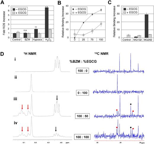 Figure 7. BZM does not generate ROS, but directly reacts with EGCG to form a new boronate product. (A) RPMI/8226 cells were treated with 20 nM BZM, 5 mM H2O2, or exposed to hypoxia for 18 hours in the presence or absence of 20 μM EGCG. Shown is the fold increase of intracellular reactive oxygen species (ROS) levels (mean ± SE; n ≥ 3) from 1 representative experiment; ** indicates statistically significant (P = .005) differences between hypoxia-treated or H2O2-treated cells versus untreated (control) cells; ns, not statistically significantly different from untreated control. The entire experiment was repeated in different variations and with different incubation times; yet, BZM consistently failed to increase the levels of ROS. The generation of intracellular ROS was measured via labeling with 2′,7′-dichlorofluorescein diacetate (H2DCFDA) and subsequent analysis by flow cytometry.23 In some of the repetitions, total ROS production was determined by ultraviolet spectrometry after incubating cells with H2DCFDA. (B) The direct binding of EGCG to BZM was investigated with the alizarin red S (ARS) reporter assay. In the absence of EGCG, there is increasing binding between ARS and rising (0-150 μM) concentrations of BZM. However, the addition of EGCG (250 μM) effectively reduces this interaction via direct competitive binding of EGCG to BZM. (C) Results from the ARS assay with MG-132 (65 μM) and MG-262 (65 μM) in the presence or absence of EGCG (250 μM). Note that MG-132 does not bind to ARS and there is no interference by EGCG, but that MG-262 strongly binds to ARS and this binding is effectively prevented by EGCG. All results are presented as mean ± SD (arbitrary units) of relative binding increase. These measurements were also repeated with TEAVIGO-EGCG and yielded very similar outcomes. (D) 1H NMR spectra (400 MHz; left) and 13C NMR spectra (100 MHz; right) of combinations of BZM and EGCG in 20% D2O in CD3CN. (i) Pure BZM, (ii) pure EGCG, (iii) a 2:1 mixture of BZM and EGCG, and (iv) a 1:1 mixture of BZM and EGCG. Selected peaks from the NMR spectra indicate the presence of the new adduct from the reaction of a 1,2-diol unit of EGCG with the boronic acid group of BZM. By increasing the amount of EGCG relative to BZM, from 2:1 in panel iii to 1:1 in panel iv, the product peaks (red arrows in the 1H NMR and red dots in the 13C NMR) increase relative to the BZM peaks (black arrows in the 1H NMR and black dots in the 13C NMR).