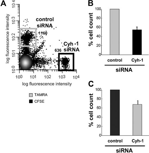 Figure 4. RNAi of cytohesin-1 strongly reduces in vivo migration of mature BM-DCs. Mature BM-DCs after transfection with control siRNA or cytohesin-1 siRNA (for silencing efficiency, see Western blot analysis of cytohesin-1 expression after RNAi of cytohesin-1, panel 1C) were labeled with 10 μM TAMRA or 1 μM CFSE, respectively. Cytohesin-1 knockdown DCs (2.5 × 105) and control DCs (2.5 × 105) were injected into the hind footpad of wild-type C57/BL6 mice. Flow cytometric analysis of cell suspensions from the extracted draining (popliteal) lymph nodes 24 to 30 hours after injection shows that in vivo migration of cytohesin-1 knockdown BM-DCs is strongly reduced, compared with control cells (A,B). To exclude fluorochrome effects on DC migration, the staining was switched between the experiments (C). Control BM-DCs are set to 100% migration (B,C). Error bars indicate ± SD. Each experiment was repeated 3 times independently.