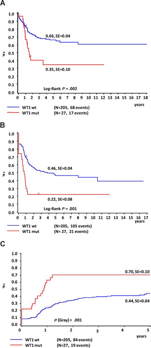 Figure 4. Survival curves of childhood AML patients with and without WT1 mutations. Kaplan-Meier estimates for 5-year pOS (A) and pEFS (B), showing log-rank P values. The 5-year CIR is depicted in (C) and was analyzed according to the Kalbfleisch and Prentice method using the Gray test for statistical significance. WT1-mutated AML patients have a significantly worse outcome in terms of OS, EFS, and CIR compared with patients with WT1 wild-type AML.
