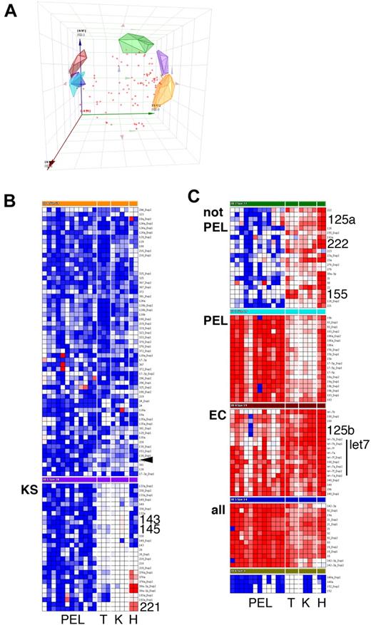 Figure 1. Cluster analysis of mature miRNA levels in KS and PEL. Data were first normalized relative to U6 to yield delta cycle threshold (dCT). dCT data were clustered using a correlation metric. (A) Principal component analysis (PCA) of the data identified 7 clusters as well as miRNAs that did not fall into any of the clusters (red crosses). PCA is a statistical tool of reducing multidimensional datasets. For instance, many miRNA genes are correlated. The PCAs can be derived from gene expression data and form an artificial coordinate system, in which coregulated genes cluster together. (A) Plot of the first 3 PCAs to visually assess the goodness of our cluster algorithm Clean clustering will result in nonoverlapping clusters. (B, C) Heatmap depiction of individual (duplicate) miRNA measurements. Red represents increase relative to all data in this set; blue, decrease relative to all data in this set. Only cluster members are shown, not unclassified miRNAs. PEL indicates primary effusion lymphoma; T, tonsil; K, KS; and H, EC. KS biopsies were from male AIDS-KS patients seen in the United States after 2004. The rightmost lane represents KSHV latently infected ECs. miRNAs that are discussed in the text are in large font.