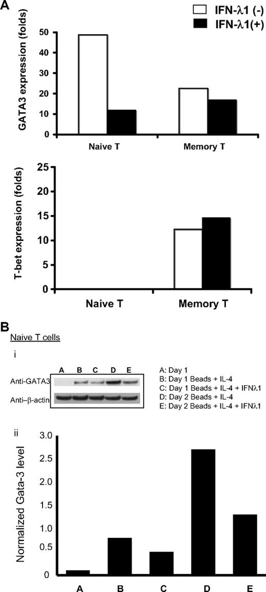 Figure 5. IFN-λ1 regulates the expression of GATA3 and T-bet. (A) Purified naive CD4+ T cells and memory T cells were cultured under Th2 (anti-CD2/3/28 beads + 10 ng/mL IL-4) or control conditions (10 ng/mL IL-4), in the presence (■) or absence (□) of IFN-λ1. Total RNA was harvested after 18 hours, and expressions of GATA3 and T-bet were measured by real-time PCR. Graphs show expression levels (fold change) of cells stimulated under Th2 conditions, normalized to unstimulated cells under control conditions. (B) Purified naive CD4+ T cells were harvested, and protein was extracted and probed for the presence of GATA3, which was normalized by densitometry against levels of β-actin. One representative experiment of 3 is shown.