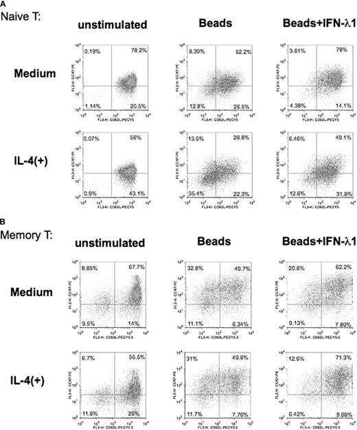 Figure 7. Altered T-cell differentiation in the presence of IFN-λ1. Purified naive (A) or memory (B) CD4+ T cells were stimulated under neutral (only anti-CD2/3/28 beads) or Th2 conditions (anti-CD2/3/28 beads + 10 ng/mL IL-4). Each cell type was cultured in the presence or absence of IFN-λ1 for 3 days, harvested, and stained with PE-labeled anti-CCR7 and PECy5.5-labeled anti-CD62. Percentages shown denote expression of CD62L and CCR7 as analyzed by flow cytometry. One representative experiment of 4 is shown.