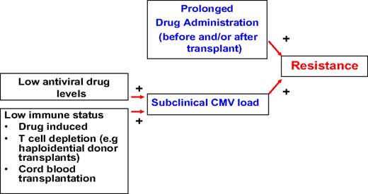 Figure 2. CMV drug resistance. Development of drug resistance requires prolonged pre-exposure (usually weeks to months) to the antiviral drug and persistent reactivation in the presence of drug, which will ultimately lead to the selection of resistant strains.