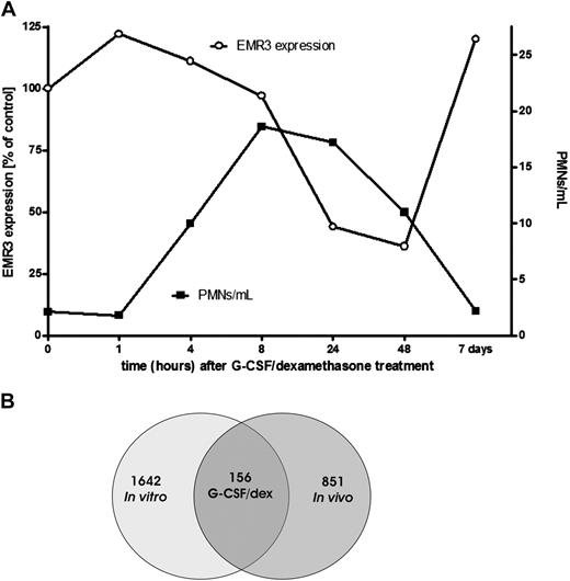Figure 1. Effect of G-CSF and dexamethasone on granulocytes. (A) Comparison of the granulocyte concentration per milliliter of blood and the EMR3 expression level in time, after donor treatment with G-CSF and dexamethasone (representative graph). PMNs indicate polymorphonuclear leukocytes; ○, EMR3 expression; ■, PMNs per milliliter. (B) Changes in granulocyte gene expression after stimulation with G-CSF and dexamethasone. At 18 to 20 hours after stimulation of the donors or culture of granulocytes with G-CSF and dexamethasone in vitro, neutrophil gene expression was determined by the use of Agilent Whole Humane Genome microarrays. Numbers refer to differentially expressed genes in neutrophils isolated 18 to 20 hours after the administration of G-CSF and dexamethasone in vivo and/or those cultured overnight in medium supplemented with G-CSF and dexamethasone.