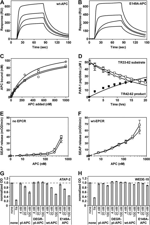Figure 5. Interactions of E149A-APC with EPCR and PAR-1. (A,B) Binding of wt-hAPC (A) or E149A-hAPC (B) to immobilized sEPCR was determined by SPR analysis at various APC concentrations (480, 240, 140, and 65 nM). Derived kinetic-binding parameters for association rate constants (kon), dissociation rate constants (koff), and equilibrium-binding constants (KD) were indistinguishable (kon, 2.3 × 105 vs 2.0 × 105 M−1s−1; koff, 4.3 × 10−4 vs 3.6 × 10−4s−1; KD, 183 vs 180 nM for wt-hAPC vs E149A-hAPC, respectively). No binding of wt-hAPC to E86A-sEPCR was observed (data not shown). (C) Binding of wt-hAPC (□), E149A-hAPC (◇), and 5A-hAPC (○) to K293 cells transfected with wt-EPCR. (D) Cleavage of the TR33-62 PAR-1 peptide by E149A-hAPC was monitored over time as disappearance of the TR33-62 substrate peptide peak (open symbols) and as appearance of the TR42-62 product peptide peak (solid symbols). Symbols denote effects of wt-hAPC (■, □) and E149A-hAPC (♦, ◇). (E,F) Cleavage of a SEAP-PAR1 reporter construct by wt-hAPC (□) and E149A-hAPC (◇) on transfected K293 cells that lack (E) or contain EPCR (F). (G,H) Endogenous PAR-1 cleavage by APC on EA.hy 926 endothelial cells was monitored using cleavage-sensitive PAR-1 antibodies ATAP-2 (G) or H111 (data not shown). Cell surface PAR-1 antigen was detected using cleavage-insensitive PAR-1 antibodies WEDE15 (H) or S19 (data not shown). Antibody-staining results were corrected for residual nonspecific staining and normalized to non–agonist-treated cells (100%). Controls include plasma-derived APC (pl-APC) and DEGR-inhibited APC (DEGR-pl-APC) that is unable to cleave PAR-1. Each point represents the mean plus or minus SEM (n ≥ 3).
