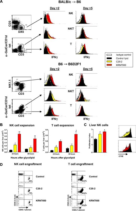 Figure 4. KRN7000 promotes NK- and T-cell activation after SCT. (A) Irradiated B6 or B6D2F1 mice received whole spleen from G-CSF–mobilized BALB/c or B6 allogeneic donors, respectively, followed by control diluent, C20:2, or KRN7000 IP on days +1 and +4. Hepatic lymphocytes were pooled from 4 to 5 mice per group at days 2 and 5 after transplant, gradient-purified, and IFN-γ secretion by cell subsets determined by cytokine secretion assay. Representative plots from 3 experiments in each strain. (B) Irradiated B6D2F1 mice received whole spleen from G-CSF–mobilized B6 allogeneic donors, followed by control diluent, C20:2, or KRN7000 IP on day +1 and hepatic NK (NK1.1+CD3neg)- and T-cell (CD3posNK1.1neg) subsets enumerated 24 and 48 hours after glycolipid injection. Mean ± SE from 5 to 7 mice per group. *P < .05 vs control diluent; **P < .05 vs control diluent and C20:2. (C) Irradiated B6D2F1 mice received whole CFSE-labeled spleen from G-CSF–mobilized B6 allogeneic donors, followed by control diluent, C20:2, or KRN7000 IP on day +1. Proliferation of liver NK cells was determined by CFSE dilution on day +3. Proliferation indices of individual mice were determined by Modfit analysis and are shown as mean ± SE (n = 5 per group). Representative CFSE fluorescence-activated cell sorter (FACS) plots are also shown. *P < .02 vs control diluent. (D) Irradiated CD45.2+ B6D2F1 mice received whole spleen from CD45.1+ G-CSF–mobilized B6 allogeneic donors, followed by control diluent, C20:2, or KRN7000 IP on days +1 and +4. Donor engraftment (CD45.1+CD45.2neg) in NK- and T-cell subsets (gated as above) was determined at day +5 in hepatic lymphocytes pooled from 4 to 5 mice per group.