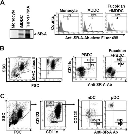 Figure 1. Expression of SR-A on blood DCs and inhibition of anti–SR-A Ab binding by fucoidan. (A) iMDDCs were prepared by culturing monocytes (106) with GM-CSF and IL-4 for 6 days. (Left panel) The cells were harvested and the cell lysates (30 μg/mL) were subjected to immunoblot analyses using an anti–human SR-A Ab. The cell lysates from PMA-stimulated THP-1 cells were used as a positive control. (Right panel) Monocytes and iMDDCs were pretreated with isotype-matched Ab for 1 hour and then incubated with Alexa Fluor 488–conjugated anti–SR-A Ab (5 μg/mL) in the presence or absence of fucoidan (50 μg/mL) for 30 minutes at 4°C, after which they were analyzed by fluorescence-activated cell sorter. (B) PBDCs were isolated using BDCA-1, -2, and -4–conjugated magnetic beads from peripheral blood mononuclear cells. The cells were incubated with Alexa-conjugated anti–SR-A Ab and PE-conjugated CD11c in the presence or absence of fucoidan for 30 minutes, and Ab binding was then analyzed. (C) CD11chighCD123low (mDC) and CD11clowCD123high (pDC) cells were gated and examined for anti–SR-A Ab binding. One representative experiment of 3 is shown.