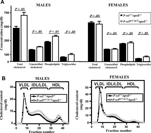 Figure 4. Plasma lipids and lipoprotein profiles in P-sel+/+/apoE−/− and P-selΔCT/ΔCT/apoE−/− mice. Plasma was collected from individual mice of both sexes, fasted for 4 hours. (A) Total cholesterol, unesterified cholesterol, phospholipid, and triglyceride levels in plasma from P-sel+/+/apoE−/− (■) and P-selΔCT/ΔCT/apoE−/− (□) mice. Data represent mean ± SEM (n = 6-9). Error bars indicate SEM. (B) Plasma samples from P-sel+/+/apoE−/− (●) and P-selΔCT/ΔCT/apoE−/− (○) individual animals were size fractionated by FPLC, and the total cholesterol content of each fraction was determined. The chromatograms are the average of multiple individually determined profiles (n = 4). Approximate elution positions of native very low density lipoprotein (VLDL), IDL/LDL, and HDL particles are indicated by brackets.