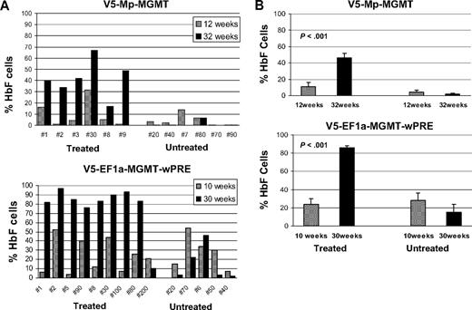 Figure 1. In vivo selection results in significant increases in F cells in mice transplanted with γ-globin/MGMT lentiviral vector-transduced β-thalassemic BM cells. (A) The percentages of F cells in the peripheral blood of mice transplanted with the indicated γ-globin/MGMT vector-transduced β-thalassemic BM cells are shown before (10-12 weeks after transplantation) and 1 month after completing (30-32 weeks after transplantation) administration of 3 doses of BG/BCNU. F-cell percentages are also shown for control mice that received no drug treatment. (B) Percentages of F cells in control untreated mice and in treated responding mice before and after drug administration. Data represent the mean ± SEM. Statistically significant differences are indicated by the P values, as determined by the Student t test.