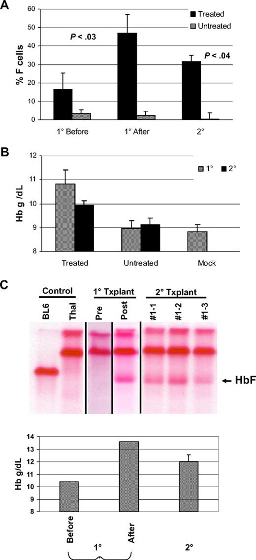 Figure 6. Secondary transplantation demonstrates sustained, increased levels of F cells, HbF, and Hb. (A) The percentages of F cells in control, untreated, and treated V5-MSCV-MGMT animal groups (as indicated), both at baseline (1° Before) and after (1° After) drug treatment are shown. Also shown are the values in secondary transplantation recipients (2°) of BM from control, untreated, and drug-treated animals. The levels of F cells in the mice after treatment and in secondary recipients derived from them were statistically different from the baseline values before treatment as determined by the Student t test. P values are shown for each, compared with the baseline value. (B) The Hb levels in 1° and 2° control (untreated) and treated animal groups (as indicated) are shown. Also shown is the mean Hb level in animals transplanted with mock-transduced cells. Data represent the mean plus or minus SEM. (C) Top panel: cellulose acetate gel electrophoresis of RBC lysates from a drug-treated, V5-EF1-MGMT animal before (Pre) and after (Post) BG/BCNU administration and from 2° transplantation recipients derived from this primary mouse. The samples of the first 2 control lanes and the 2° transplantation lanes were run on one gel as indicated by the vertical lines. Pre and post samples in the 1° transplantation lanes were run on different gels at different times because samples could not be preserved intact for 20 weeks. Bottom panel: Hb levels of the primary animal before (Pre) and after (Post) drug treatment and of 2° transplantation recipients derived from the primary animal.
