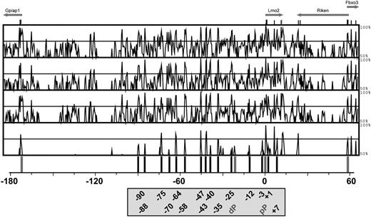 Figure 1. Sequence conservation between Lmo2 loci from eutherian mammals and opossum identifies 15 distal candidate regulatory elements. MVista representation of sequence conservation across 250 kb of the mouse Lmo2 locus. The conservation panels correspond to, from top to bottom, mouse/human, mouse/dog, mouse/cow, and mouse/opossum alignments. The conservation plots show regions with at least 50% of conservation (y-axis) across the 250-kb tiling path spanning the mouse Lmo2 locus, where the translation initiation (ATG) is marked as position 0 (x-axis). Shown at the top of the figure are exons with arrows pointing in the direction of transcription. The gray lines indicate promoters, and the black lines highlight the 15 noncoding conserved regions between opossum and eutherian sequences. The positions of the conserved regions are named relative to the ATG of Lmo2 and depicted in the box at the bottom of the figure (black), together with the distal (dp) and proximal (pP) Lmo2 promoters (gray).