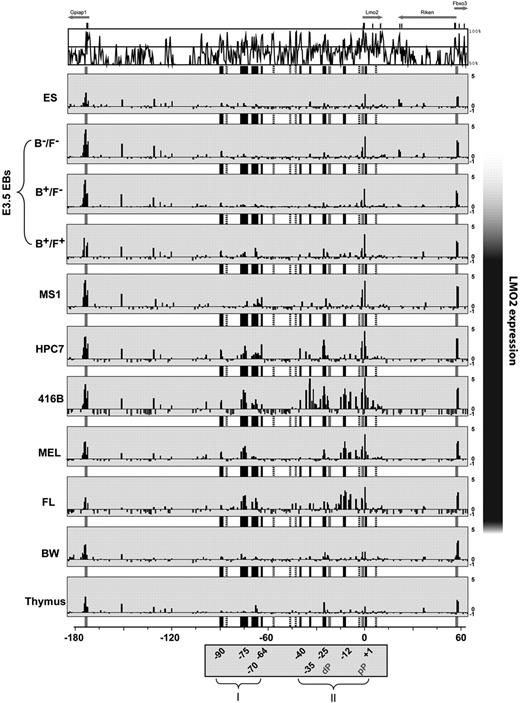 Figure 2. ChIP-chip assays across 250 kb of the mouse Lmo2 locus reveal candidate distal regulatory elements. ChIP-chip analysis of histone H3 acetylation in 11 hematopoietic and endothelial cell types. MVista representation of mouse/human sequence conservation is shown on the top and annotations of promoters (gray), and all candidate regulatory elements (black) are as in Figure 1, except that regions not enriched (−88, −58, −47, −43, −3, and +7) are marked by dotted lines. Enrichment cluster I comprises −90, −75, −70, −64; cluster II covers −40, −35, −25, −12, +1. The y-axis represents the log 2 enrichment of ChIPed DNA over input DNA ranging from −1 to 5, whereas the x-axis depicts the 250 kb spanning the mouse Lmo2 locus, where the translation initiation codon (ATG) is marked as position 0. The black bar on the right hand side indicates relative levels of Lmo2 expression in the 11 different cell types. The cells surveyed included non-Lmo2–expressing ES cells, as well their in vitro–differentiated EB sorted for Brachyury−/Flk1− (B−/F−: premesoderm), Brachyury+/Flk1− (B+/F−: prehemangioblast mesoderm), and Brachyury+/Flk1+ (B+/ F+: hemangioblast mesoderm). Additional cell types included Lmo2-expressing cell lines, representing endothelial progenitor MS1, multipotential hematopoietic progenitor HPC7, myeloid progenitors 416B, erythroid progenitor MEL, and primary cells derived from day 11.5 FL. In addition, cell types were used, in which Lmo2 expression is supposed to be extinguished, such as a T-lymphoid cell line (BW) and whole adult murine thymus.
