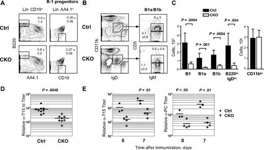 Figure 3. Impaired B1 cell–mediated responses in the absence of Zfx. (A) B-1 cell progenitors in the BM of control and CD19-Cre+ Zfxflox/y CKO mice at 8 to 12 weeks. The fraction of lineage (Lin; CD11b/Gr-1/Ly-6C/IgM/Ter119/NK1.1/CD8/TCR)− AA4.1+ CD19+ B220− B-1 progenitors in the total BM is indicated (mean ± SD of 4 mice); (left) mature recirculating B cells are shown for comparison. (B) B-1 B cells in the peritoneal cavity of control and CD19-Cre+ Zfxflox/y CKO mice at 8 to 12 weeks. Representative staining profiles show CD11b− IgDhi conventional B cells and CD11bint IgDint IgMhi CD5+ (B-1a) and CD5− (B-1b) B1 cells, with the percentage among total peritoneal cavity cells indicated (mean ± SD of 3-4 mice). (C) Absolute numbers of B-1 cells, conventional B cells (B220+ IgDhi) and macrophages (CD11bhi) in the peritoneal cavity of control and CKO mice (mean ± SD of 6 mice). (D) B-1 cell–derived T15 idiotype IgM titers in the sera of naive control and CD19-Cre+ Zfxflox/y CKO mice. Symbols represent individual mice and horizontal lines represent the mean values. (E) T15 idiotype and anti-PC IgM titers in control and CD19-Cre+ Zfxflox/y CKO mice immunized with PC-KLH. Symbols represent individual mice and horizontal lines represent the mean values.