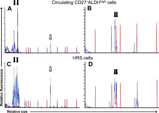 Figure 5. Circulating light chain–restricted CD27+ALDHhigh B cells show identical immunoglobulin rearrangements to HRS cells. Capillary electrophoretic profiles of (A) immunoglobuin heavy chain CDR3 amplification products and (B) immunoglobulin kappa light chain CDR3 amplification products obtained by PCR of circulating light chain–restricted CD27+ALDHhigh B cells from 2 respective patients. Capillary electrophoretic profiles of HRS cells isolated from a diagnostic lymph node (C) from the first patient by CD30 microbeads and (D) from the second patient by microdissection. PCR products are shown in blue lines, and red lines are size markers. ↓show identical-sized PCR products in the circulating clonotypic B cells and HRS cells from (A,C) patient 1 (at 76 and 94 bp) and (B,D) patient 2 (at 146 and 150 bp). indicates control PCR reaction product.