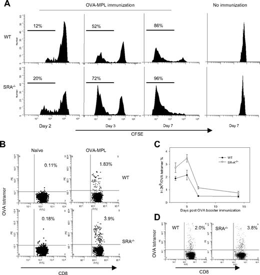 Figure 2. Enhanced proliferation of OVA-specific CD8+ T cells in SRA/CD204 KO mice. (A) Enhanced expansion of adoptively transferred OT-I cells in SRA−/− mice. Mice received CFSE-labeled OT-I cells on day −1, and were immunized with OVA-MPL on day 0. Spleens were harvested at different time points and subjected to FACS analysis by gating on CD8+ cells. OT-I cells were also transferred to mice without immunization and used as controls. Data are representative of 2 separate experiments in which at least 3 mice in each group were analyzed. (B) Increased frequency of endogenous OVA-specific CD8+ T cells in SRA−/− mice. Representative FACS dot plots of tetramer staining. WT and SRA−/− mice (n = 3) were immunized with OVA-MPL. PBLs were collected on day 5 and stained with anti-CD8 antibodies and OVA tetramer. (C) Kinetic analysis of the frequency of OVA-specific CD8+ T cells. After immunization, CD8+OVA tetramer+ T cells in PBLs were assessed on days 3, 5, 7, and 14. Percentage of tetramer-positive cells gated on CD8+ T cells. Data shown as mean plus or minus SD are representative of 2 experiments (P < .001, SRA−/− vs WT mice, ANOVA test). (D) Stronger recall response against OVA in SRA−/− mice. Two months after vaccination, mice were immunized with OVA, and analyzed for CD8+OVA tetramer+ T cells in PBLs.