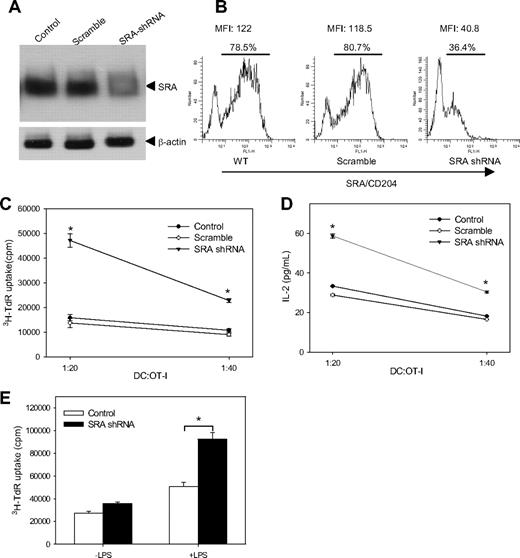 Figure 7. SRA/CD204 silencing enhances immunostimulatory capability of TLR4-activated DCs. (A) Lentivirus-mediated RNA interference efficiently down-regulates SRA/CD204 expression in DCs. BM-DCs (105 cells/well) were transfected with LV-scramble shRNA, LV-SRA shRNA at a multiplicity of infection of 50, or left untreated. Cells were harvested 2 days later and analyzed by immunoblotting using anti-SRA/CD204 antibodies. (B) Silencing of SRA/CD204 in DCs by lentivirus encoding SRA shRNA, as indicated by FACs analysis. (C) SRA/CD204 silencing enhances ability of DCs to prime naive OT-I cells. BM-DC cells were transfected with LV-SRA shRNA, LV-scramble shRNA, or left untreated. DCs were harvested 2 days after infection and pulsed with OVA protein. After LPS stimulation and extensive washes, DCs were cocultured with OT-I cells at different ratios. OT-I cell proliferation was measured by 3H-thymidine incorporation assays. (D) Increased IL-2 production by OT-I cells stimulated with SRA/CD204-silenced DCs. After incubation, the levels of IL-2 in the supernatant were determined using an ELISA (*P < .005, SRA shRNA vs scramble control). (E) SRA-silenced DCs were stimulated with or without LPS, followed by coculture with OT-I cells at a ratio of 1:10. T-cell proliferation was assayed by 3H-thymidine uptake (*P < .005, SRA shRNA vs control). Representative results from 2 independent experiments are shown. Error bars indicate SE.