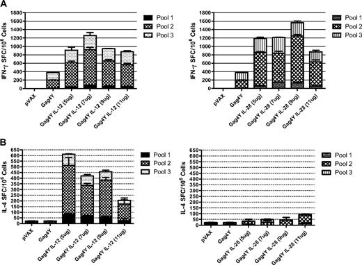 Figure 3. HIV Gag-specific IFNγ and IL-4 ELISpots from isolated splenocytes. (A) Effects of cytokine adjuvants on the induction of a Th1 response were measured via the use antigen-specific IFNγ ELISpots performed on isolated splenocytes. ELISpots were performed on splenocytes harvested from mice that received IL-12 as an adjuvant or IL-28B as an adjuvant (n = 4) and IFNγ spot-forming units (SFU) were counted. (B) Effects of cytokine adjuvants on the induction of a Th2 response were measured in the same fashion using IL-4 ELISpots.