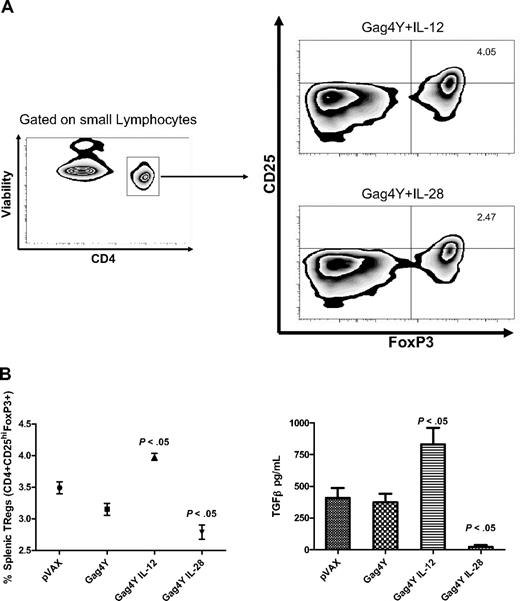 Figure 5. Differential induction of regulatory T cells and TGFβ secretion during immunization. The presence of regulatory T cells (CD4+/CD25hi/FoxP3+) was assayed from isolated splenocytes from all groups (n = 4) via flow cytometry (A). Analysis of flow cytometry shows differences in Treg populations, whereas analysis of cytokine secretion from these cells shows differences in TGFβ release (B). P values reflect comparisons between mice vaccinated with Gag4Y alone with mice vaccinated with Gag4Y plus IL-12 or IL-28B.