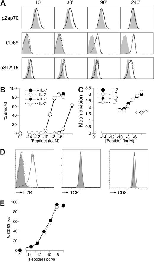 Figure 1. IL-7 does not affect T-cell activation in vitro. (A) Total lymph node cells from F5 Rag1−/− mice were cultured (106/mL) with 10 nM NP68 in the presence or absence of IL-7 (10 ng/mL). Histograms are of pZap70 and CD69 levels on CD8-gated T cells in unstimulated (gray fill) or NP68-stimulated cultures with (solid line) or without (broken line) IL-7 for the times indicated. pSTAT5 staining is shown for IL-7–stimulated cells cultured with (solid line) or without (broken line) NP68 peptide compared with unstimulated cultures lacking IL-7 and NP68 (gray fill). (B,C) Total F5 lymph node cells were labeled with CFSE and cultured (106/mL) with a range of peptide doses. At day 3, CFSE profile of viable CD8+ T cells was analyzed by FACS. Graphs show the percentage cells triggered into division (B) and mean division of triggered cells (C) in response to different doses of agonist NP68 peptide (circles) or the weak agonist NP34 (diamonds) in the absence (empty symbols) or presence (filled symbols) of IL-7 (10 ng/mL). (D) Histograms show expression of IL-7R, TCR, and CD8 by IL-7R+ F5 T cells from control (solid line) and IL-7R− F5 T cells from F5 TetIL-7R mice off doxycycline for 7 days (gray fill). Histogram of IL-7R by CD4+CD8+ DP F5 thymocytes (broken line) is shown as negative control. (E) The graph shows CD69 expression at 18 hours by IL-7R+ F5 splenocytes of control mice (●) and CD8+ IL-7R− F5 splenocytes from F5 TetIL-7R mice off doxycycline for 7 days (○), stimulated with different doses of NP68 peptide. Data are representative of 3 or more experiments.