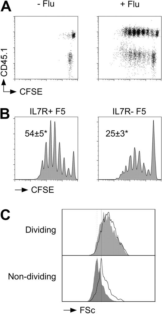 Figure 2. Defective triggering of F5 T cells in the absence of IL-7R expression. F5 T cells from CD45.1+ control F5 and CD45.1− F5 TetIL-7R mice off doxycycline for 7 days were CFSE-labeled, mixed at a 1:1 ratio, and transferred (3 × 106 total T cells/mouse) to groups of Rag1−/− hosts. Groups of recipient mice (n = 3) were further challenged with flu virus intravenously (24 U/mouse). At day 3 after transfer, mice were culled and donor populations among host splenocytes analyzed by FACS. (A) Dot plots are of CFSE versus CD45.1 expression by CD8+TCRhi cells from naive or flu-challenged recipients. (B) Histograms are of CFSE profiles for CD45.1+ control F5 T cells (IL-7R+ F5) and CD45.1− F5 T cells from F5 TetIL-7R donors (IL-7R− F5). Numbers indicate the average percentage of F5 T cells triggered into division plus or minus SD in each case. *P < .008; n = 6. (C) Histograms show cell size as determined by Forward Scatter (FSc) signal for divided and undivided control (solid line) and IL-7R− (gray fill) F5 T cells. Data are representative of 6 independent experiments.
