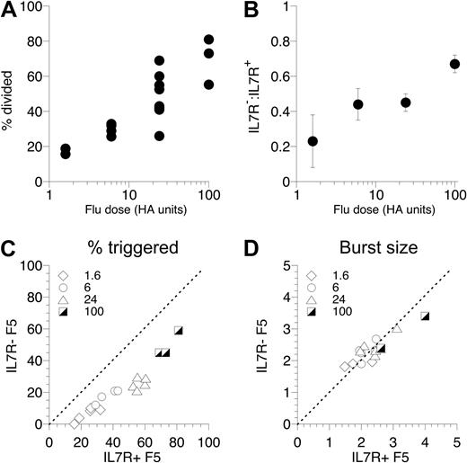 Figure 3. T-cell triggering is defective over a wide range of antigen doses. (A) Control F5 T cells were CFSE-labeled and transferred to Rag1−/− hosts (3 × 106/mouse), and groups of mice were challenged with a range of flu doses. At day 3, mice were culled and the responding T-cell population in the spleen analyzed by FACS. The scatter plot shows the percentage of F5 T cells triggered into division in individual mice challenged with different doses of flu virus. (B-D) F5 T cells from CD45.1+ control F5 and CD45.1− F5 TetIL-7R mice off doxycycline 7 days were CFSE-labeled, mixed at a 1:1 ratio, and transferred (3 × 106 total T cells/mouse) to groups of Rag1−/− hosts challenged with 1.6, 6, 24, or 100 U flu virus. At day 3, mice were culled and CFSE profile of CD8+ TCRhi CD45.1+ control (IL-7R+ F5) and CD45.1− F5 TetIL-7R F5 T cells (IL-7R− F5) analyzed by FACS. Plot shows ratio of IL-7R− F5/IL-7R+ F5 cells triggered into division as a function of flu dose (B). Scatter plot shows percentage of F5 T cells triggered into division for IL-7R+ F5 (x-axis) versus IL-7R− F5 (y-axis) cells in the same recipient challenged with the flu dose indicated (C). The scatter plot shows the mean division of triggered IL-7R+ F5 (x-axis) versus IL-7R− F5 T cells in individual hosts (D). Data are pooled from 3 independent experiments.