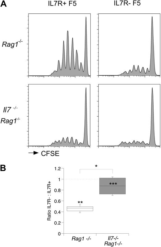 Figure 4. Acute requirement for IL-7 for optimal triggering of T cells. F5 T cells from CD45.1+ control F5 and CD45.1− F5 TetIL-7R mice off doxycycline 7 days were CFSE-labeled, mixed at a 1:1 ratio, and transferred (3 × 106 total T cells/mouse) to groups of Rag1−/− or Il7−/− Rag1−/− hosts. Recipient mice were further challenged with flu virus (24 U/mouse). At day 3, mice were culled and F5 T cells populations in spleen analyzed by FACS. (A) Histograms show CFSE profiles of CD8+ TCRhi F5 T cells from the donor mice and in the hosts indicated. (B) Box plot shows the ratio of control F5 to F5 TetIL-7R donor T cells triggered into division in the indicated hosts. Statistics: *P < .016, comparing ratios in Rag1−/− and Il7−/− Rag1−/−. Comparison of frequency of triggered control and F5 TetIL-7R T cells in Rag1−/− hosts (**P < .001) and in Il7−/− Rag1−/− hosts (***P = .66).