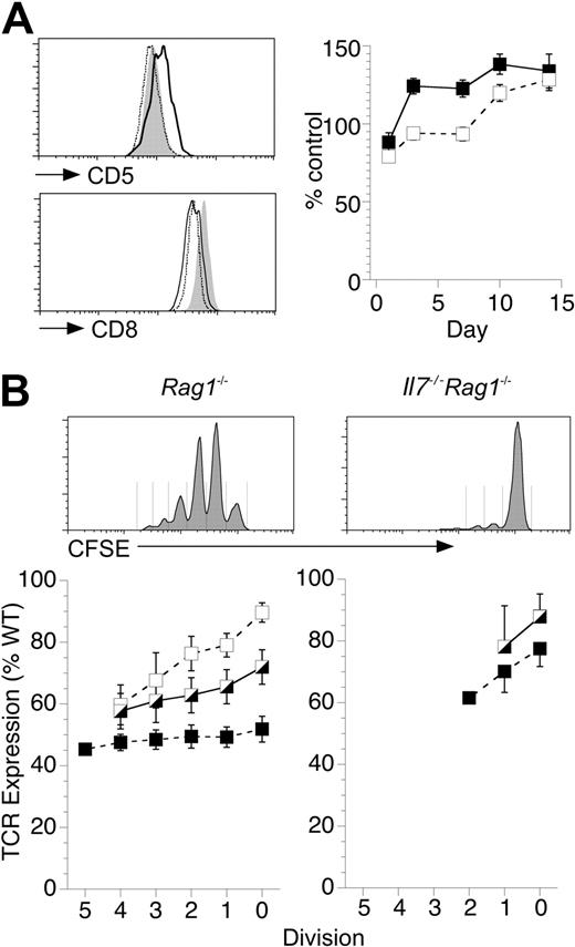 Figure 5. IL-7 enhances T-cell stimulation by DCs to induce LIP. (A) T cells from F5 Rag1−/− donors were transferred (2 × 106 /mouse) to Rag1−/−, β2m−/− Rag1−/−, or Il7−/− Rag1−/− hosts (n = 5/group). At various days, spleens were taken from recipient mice and stained for CD8, TCR, and CD5. Histograms of CD5 expression 7 days after transfer of F5 T cells to Rag1−/− hosts (solid line) and Il7−/− Rag1−/− (broken line) hosts compared with expression by F5 T cells from control F5 Rag1−/− mice (gray fill). Histograms of CD8 expression are of F5 T cells 7 days after transfer to Rag1−/− hosts (solid line), β2m−/− Rag1−/− hosts (gray fill), and Il7−/− Rag1−/− hosts (broken line). Graph shows CD5 expression after transfer to Rag1−/− (solid) or Il7−/− Rag1−/− hosts (empty) as percentage of expression by F5 T cells from control mice. (B) F5 T cells were CFSE-labeled and transferred (2 × 106 cells/mouse) to Rag1−/− and Il7−/− Rag1−/− hosts. At days 7, 14, and 21, lymphocytes were recovered and stained for expression of CD8 and TCR. Histograms are of representative CFSE profiles at day 14 and indicate gates used to examine cells that had undergone different number of division. Line graphs show TCR expression by F5 T cells that have undergone different numbers of divisions at day 7 (□), day 14 (), and day 21 (■) after transfer into the hosts indicated normalized to expression in control F5 Rag1−/− mice.