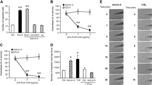 Figure 2. Activin A induces directional migration of DCs through the activation of ALK4 and ActRIIA receptors. (A) Checkerboard analysis was performed using 100 ng/mL activin A in the lower, upper, or both lower and upper wells. Results show that DCs migrated only in the presence of an activin A–positive (in the lower chamber) gradient. (B,C) DC migration in response to activin A was assessed in the presence of blocking mAbs for ALK4 or ActRIIA. Migration of DCs in response to 100 ng/mL CCL3 was used as positive control. Values represent the mean plus or minus SD of 3 different experiments. (D) Egression of mouse skin DCs in response to 100 ng/mL activin A. DC egression into the medium was evaluated after 48-hour culture; TNF-α (20 ng/mL) was used as a positive control. The results are the mean plus or minus SEM of 3 to 10 independent experiments. PTox: B pertussis toxin. *P < .05 and **P < .005 by paired Student t test versus control group. (E) Real-time DC migration in response to activin A (100 ng/mL) and LTB4 (100 nM). The micropipettes loaded with activin A or LTB4 were positioned in culture dishes with DCs, and bright-field images were collected using a Nikon TE-300 microscope, as indicated in “Migration assay.”