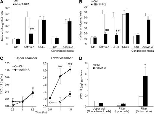 Figure 6. Activin A induces the polarized production of CXCL12 by migrating DCs. (A) Conditioned medium of activin A–stimulated DCs (100 ng/mL for 90 minutes) was used as source of chemotactic factor for DCs. The anti-ActRIIA-blocking antibody (3 μg/mL; anti-RIIA) was used to neutralize the effect of activin A present in the supernatant. (B) SB431542 (5 μM), the inhibitor of signaling transducer chains ALK4, blocked the migration to activin A as well as to TGF-β, but not to CCL3. The inhibitor did not alter the migration to conditioned media. (C) At the end of the migration test, CXCL12 is present in higher concentrations in the lower well of the chemotactic chamber. (D) Evaluation of cell-associated CXCL12 in nonadherent cells and in cells adherent to the upper side or to the lower side (pseudopods + cells) of the filter. This experiment reveals that CXCL12 is selectively released in a polarized manner. *P < .05, **P < .005 by paired Student t test versus respective control groups.