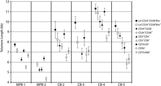 Figure 3. Mean telomere lengths in subpopulations of MPB and CB. Representative MPB and CB samples are shown with mean telomere lengths (± SEM) in all analyzed subpopulations. Primitive subpopulations show the longest mean telomere lengths within each sample. Of the terminally differentiated cell types, CD56+ cells routinely have the shortest telomeres. CD19/20+ cells have the longest mean telomere length of terminally differentiated cells, predominantly due to a subset of cells having very long telomeres. This has been observed elsewhere and is presumably due to the reactivation of telomerase during B-cell development. Full telomere length data and distribution from all samples analyzed are presented in Figure S1 (available on the Blood website; see the Supplemental Materials link at the top of the online article).