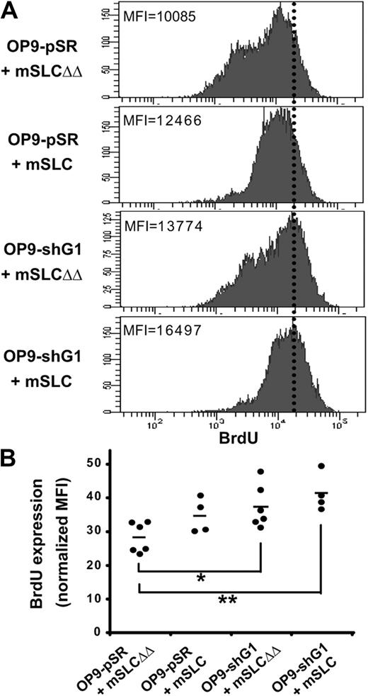 Figure 4. Inhibition of pre-BCR relocalization impairs pre-BII-cell proliferation. (A) After BrdU incorporation, pro-B/pre-BI cells (B220+CD117+Igκ/λ−) were allowed to differentiate for 2 days in the absence of IL7 by coculture with stromal cells. Control experiments were performed using OP9-pSR cells in the presence of mSLCΔΔ. Pre-BCR relocalization was inhibited by adding mSLC in the medium, by performing cocultures with OP9-shG1 cells in the presence of mSLCΔΔ, or by adding mSLC and using OP9-shG1 cells. Data are representative of at least 4 independent experiments. The progressive loss of BrdU expression is representative of the proliferative activity of the cells. The mean fluorescence intensity (MFI) is indicated in each histogram. (B) Representation of BrdU expression (normalized MFI) for each condition described in panel A. Each point represents an individual experiment and bars represent the average values. P values were determined using the Mann-Whitney unpaired test with a risk of 5% (*P = .013, **P = .005).