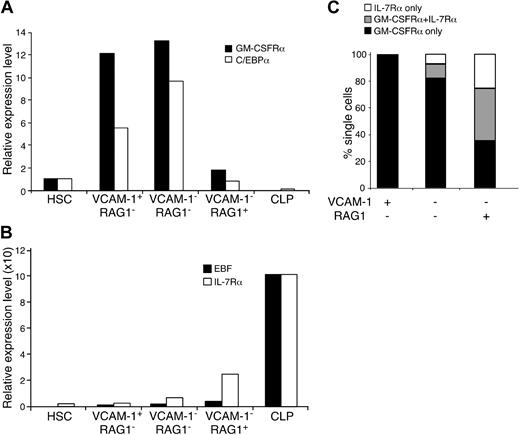 Figure 2. Lack of lymphoid lineage priming in VCAM-1−RAG1− MPPs that are specified to the lymphoid lineage in vivo. Quantitative RT-PCR analysis of myeloid (A)- and lymphoid (B)-related gene expression in HSCs, MPPs, and CLPs. Relative expression level of each gene is normalized to GAPDH expression level. Expression level shown is the average value from triplicate samples from each cell population. The expression level of each gene in HSCs is arbitrarily set as 1. (C) Multiplex single-cell RT-PCR of lymphoid (IL-7Rα)- and myeloid (GM-CSFRα)-affiliated gene expression in MPP subsets. At least 50 HPRT+ wells were analyzed for the presence or absence of IL-7Rα and GM-CSFRα expression for each cell population.