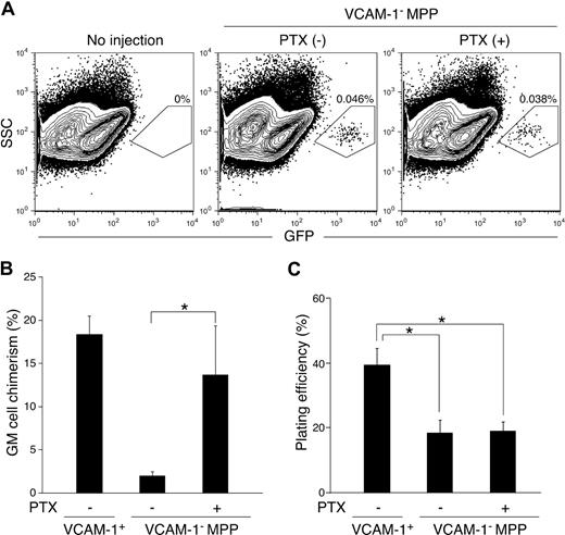 Figure 3. Myeloid potential of MPPs after PTX treatment. (A) FACS analysis of bone marrow cells from irradiated recipient WT mice 48 hours after intravenous injection of GFP+ VCAM-1− MPPs with (right panel) or without (middle) PTX treatment. Bone marrow from mice that did not receive an injection of cells is also shown as a control (left). Shown FACS plots are pregated on the Lin− fraction. The percentages represent the frequency of GFP+-injected cells in whole bone marrow. In vivo (B) and in vitro (C) GM differentiation potential of VCAM-1+ and VCAM-1− MPPs with or without PTX treatment. After 2-hour culture in the presence or absence of PTX, the cells were subjected to the experiments as described in Figure 1C,D. *P < .05 (statistical significance) by Student t test.