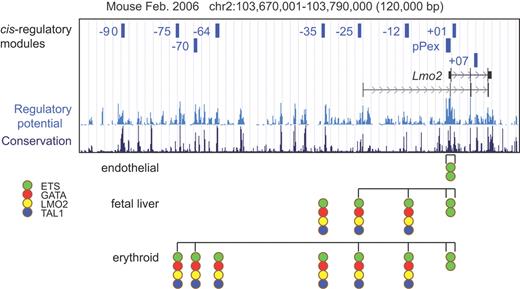 Prediction and validation of cis-regulatory modules for Lmo2. CRMs were predicted both by their conservation from mouse to the marsupial opossum (a measure of sequence constraint is shown on the last line of the locus map) and by peaks of acetylation of histone H3 in the chromatin. The CRMs with demonstrable activity in transgenic mice are shown as blue boxes on the first group of lines on the map (pPex is the extended proximal promoter), followed by the locations of introns and exons of the Lmo2 gene and a distal promoter. The regulatory potential3 score (light blue data track) has peaks in most of the CRMs, but some noncoding regions with strong constraint and regulatory potential are not active in the transgenic mouse assay. Below the locus maps is a summary of the occupancy of the CRMs by transcription factors and the pattern of expression that they regulate. See the complete figure in the article beginning on page 5783.