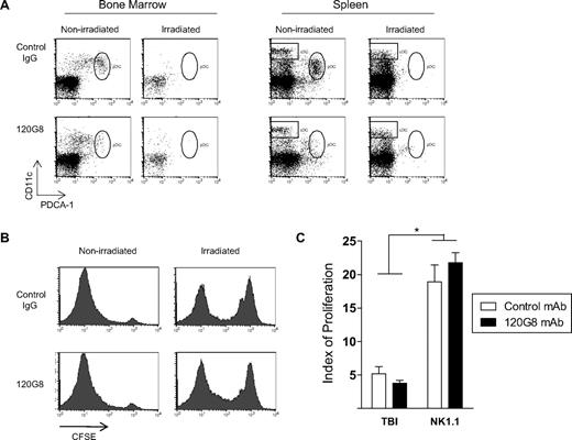 Figure 1. Effects of recipient pDCs on donor T-cell priming. (A) B6D2F1 mice were irradiated with 1300 cGy in 2 split doses of 650 cGy, 3 hours apart. At the time of the second irradiation, mice were injected with 1 mg of the pDC-depleting mAb 120G8 or isotype control antibody MAC49. Twenty-four hours later (the usual time of transplant), bone marrow and spleen were examined for pDC and cDC content. Anti–PDCA-1 (Miltenyi Biotec, Bergisch Gladbach, Germany) and CD11c (Biolegend, San Diego, CA) mAbs were used for flow cytometric analysis. DCs were enriched using density-gradient centrifugation before examination.5 Representative plots shown. (B) B6D2F1 mice received TBI or 1 mg anti-NK1.1 as pretransplant conditioning, followed by 120G8 or control mAb. Purified carboxyfluorescein succinimidyl ester (CFSE)–labeled B6 CD45.1+CD4+ T cells were injected and proliferation of splenic T cells analyzed by CFSE dilution 3 days later. Cells were stained with CD45.1, CD4, and the vital dye 7-AAD. Histograms shown are gated on live CD45.1+CD4+ cells. No difference in alloresponse was observed in the absence of pDC in either the irradiated or nonirradiated setting. (C) Modfit software (Verity Software House, Topsham, ME) was used to quantify the extent of donor T-cell proliferation. Calculated proliferation index = Σ all cells/computed number of parent cells. Data shown representative of 3 experiments, with n = 12 and n = 7 in respective TBI and NK1.1 groups. P = .37 irradiated control mAb versus irradiated 120G8. P = .31 nonirradiated control mAb versus nonirradiated 120G8. *P < .001 irradiated versus nonirradiated control and 120G8 mAb treated.