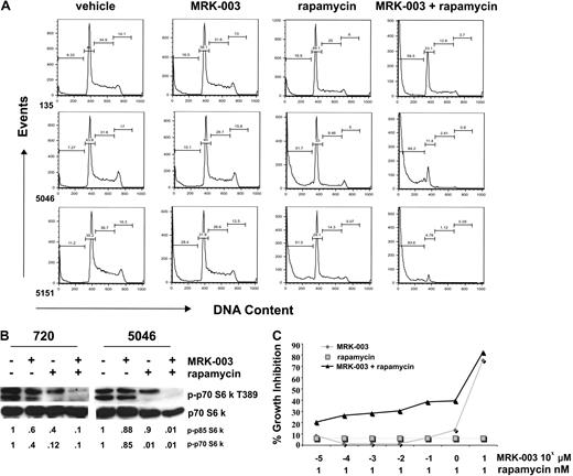 Figure 6. GSI and rapamycin treatment in vitro induces massive apoptosis of mouse T-ALL cells and cooperates to suppress mTOR activity. (A) Mouse T-ALL cell lines, 135, 5046, and 5151, were treated with DMSO, 1 μM MRK-003, 10 nM rapamycin, or 1 μM MRK-003 and 10 nM rapamycin for 24 hours. Cells were assayed for DNA content by staining with PI followed by flow cytometry. (B) mTOR activity is ablated when mouse T-ALL lines are treated with GSI and rapamycin. Mouse T-ALL lines, 720 and 5046, were treated with DMSO, 1 μM MRK-003, 10 nM rapamycin, or 1 μM MRK-003 and 10 nM rapamycin, and mTOR kinase activity was assayed by immunoblotting the cell lysates with phospho-p70 S6 kinase antibody (no. 9205; Cell Signaling Technology) after 18 hours. Total p70 S6 kinase was used as a loading control (no. 9202; Cell Signaling Technology). Fold reductions in kinase activity were determined by densitometry and represent ratios (phospho/total) normalized to DMSO-treated samples. (C) At low pharmacologic doses, MRK-003 and rapamycin may have synergistic effects on mouse leukemic growth. Mouse T-ALL lines, 720 and 5046, were treated for 72 hours with 1 nM rapamycin, increasing concentrations of MRK-003 (10−5 to 101 μM), or rapamycin and MRK-003, and growth was assayed by MTT analysis. The figure is a representative of 3 independent experiments using mouse T-ALL cell line 720.