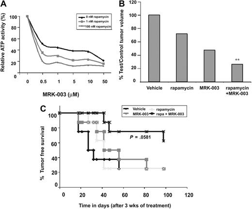 Figure 7. GSI and rapamycin treatment inhibits human T-ALL growth and extends survival. (A) GSI and rapamycin treatment inhibits human T-ALL growth in vitro. The human T-ALL cell line (TALL-1) was treated with 0, 0.5, 1, 5, 10, or 50 μM MRK-003 in addition to 0, 1, or 100 nM rapamycin and ATP activity quantified using the Vialight assay kit. (B) The combination treatment (GSI and rapamycin) inhibits human T-ALL growth in vivo more effectively than treatment with either single agent. CD1 nu/nu mice were injected with human T-ALL cell line, TALL-1. When tumors reached 250 mm3, xenograft mice were treated with vehicle, rapamycin, MRK-003, or a combination of MRK-003 and rapamycin for 3 weeks. MRK-003 was dosed at either 0 or 150 mg/kg by mouth once a week. Rapamycin was dosed at either 0 or 20 mg/kg by mouth daily. After treatment, tumors were callipered and body weight was recorded. Bar graph indicates relative tumor volumes at killing. The following statistics were analyzed by a t test; vehicle versus rapamycin (P = .001), vehicle versus MRK-003 (P = .325), rapamycin versus rapamycin + MRK-003 (P = .002), MRK-003 versus rapamycin + MRK-003 (P = .001). (C) GSI and rapamycin treatment inhibits human leukemic growth in vivo and increases overall survival. After 3 weeks of treatment with vehicle, MRK-003 (150 mg/kg per week), rapamycin (20 mg/kg daily), or MRK-003 and rapamycin, T-ALL-1 xenograft mice were monitored for tumor recurrence. Tumor-free survival was compiled on a Kaplan-Meier survival plot. Data were analyzed by a log rank test (P = .058).
