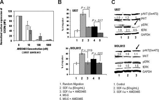Figure 1. AMD3465 inhibits migration and intracellular signaling in AML cell lines. (A) Surface expression of CXCR4 was measured by flow cytometry, and the results are expressed as percent change in the mean fluorescent intensity (MFI) compared with control (untreated) cells. (B) U937 and MOLM13 cells (0.5 × 106) were plated onto the upper chamber of transwell plates and exposed to 50 ng/mL SDF-1α in the lower chamber or to 0.1 × 106 MS-5 cells preplated in the lower chamber with or without 1 μM AMD3465 for 24 hours. Migrating cells were counted after 24 hours of incubation. The results are expressed as a percentage of the migrating cells relative to the numbers of input cells. (C) Cells were pretreated with or without SDF-1α for 30 minutes, followed by exposure to 1 μM AMD3465 for 4 hours. Phosphorylation of Akt (pAkt) and Erk (pErk) was detected by Western blot analysis, and the intensity of the bands was quantified by densitometry and displayed as ratios of either phospho-proteins to total proteins. Glyceraldehyde-3-phosphate dehydrogenase (GAPDH) was used as a loading control.