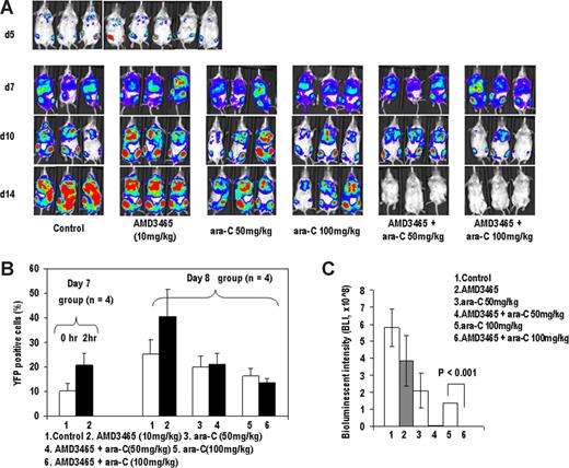 Figure 3. AMD3465 induces mobilization of A20 cells in vivo and enhances antitumor effects of ara-C. (A) A20-luc/YFP cells were injected IV into BALB/c mice, and bone marrow engraftment was confirmed by bioluminescence imaging on day 5 (top row). Mice were injected with ara-C, AMD3465, or ara-C plus AMD3465 on day 7 and 8 at the indicated doses described in “A20-luc/YFP leukemia murine model.” On days 5, 7, 10, and 14, mice were imaged after D-luciferin injection. Serial images of 3 representative mice are shown on day 7, 10, and 14. (B) AMD3465 was administered on day 7 after tumor cell injection, and percentages of circulating A20-luc/YFP cells in peripheral blood before and after 1 hour of AMD3465 were examined by flow cytometry (left panel). Percentage of circulating A20-luc/YFP-positive cells in control mice, in mice mobilized with AMD3465, or in mice treated with ara-C ± AMD3465 was detected by flow cytometry on day 8 after tumor cell injection (right panel). (C) Bioluminescence imaging results on day 14 were averaged from the peak light-emitting exposure from each group and displayed as photons per second. Error bars represent the SEM of each group.
