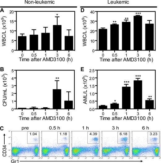 Figure 3. AMD3100 induces a rapid and transient mobilization of normal hematopoietic progenitor cells and APL blasts into the peripheral blood. Syngeneic B6129F1 recipient mice were left untreated (nonleukemic) or injected intravenously with APL cells (leukemic). Twelve days after APL injection, mice were treated with a single subcutaneous dose of 5 mg/kg AMD3100. Peripheral blood samples were collected immediately before and 0.5, 1, 3, and 6 hours after AMD3100 administration. (A) Total white blood cell (WBC) counts per microliter of peripheral blood in nonleukemic mice were determined by automated counting. (B) Colony-forming units in the peripheral blood of nonleukemic mice. (C) Representative flow cytometry profiles showing mobilization of Gr1+CD34+ APL blast cells following treatment with AMD3100. (D) Total white blood cell counts per microliter of peripheral blood in leukemic mice were determined by automated counting. (E) APL blast cell counts per microliter of peripheral blood in leukemic mice were determined by automated counting and flow cytometry of Gr1+CD34+ APL blast cells. Each bar represents the mean ± SD of a single experiment, for which each sample was assayed in quadruplicate. Results are representative of 3 separate experiments. *P < .05; **P < .01; and ***P < .001.