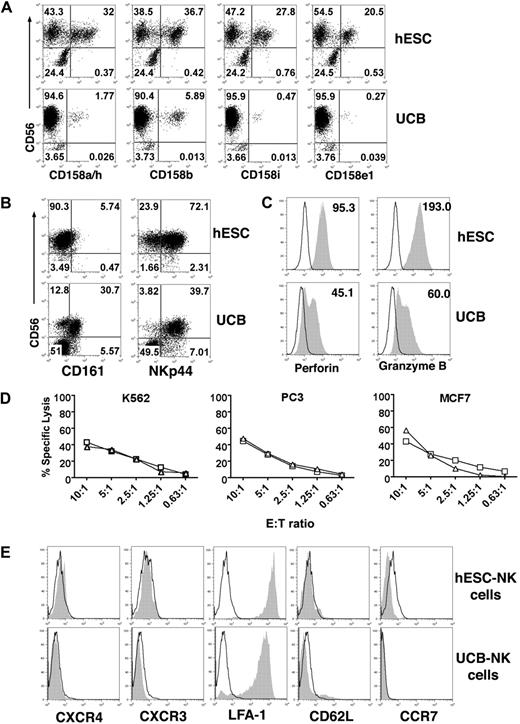 Figure 5. Phenotypic and functional analysis of hESC-NK cells compared with UCB-NK cells. (A) Flow cytometric analysis for 4 individual KIRs demonstrates a higher percentage of hESC-NK cells expressing these regulatory receptors compared with what is found on UCB-NK cells. (B) Expression of CD161 and NKp44 on hESC- and UCB-NK cells. (C) Expression of perforin and granzyme B on CD56+ NK cells was evaluated by intracellular flow cytometric straining. Histograms of CD56+-gated cells are shown. Mean fluorescent intensity (MFI) was analyzed from all hESC-derived CD56+ cells and from perforin and granzyme B-positive CD56+ cells from UCB. Isotype control is indicated in open histograms. (D) Cytolytic activity against K562, PC3, and MCF7 tumor cells was compared between purified CD117−/lowCD94+ NK cells derived from hESCs (□) and UCB () at the indicated effector-to-target cell ratios. Representative results from 2 separate experiments are shown. (E) Flow cytometric analysis of cell trafficking molecules on hESC- and UCB-derived NK cells. Histograms of CD56+-gated NK cells are shown. Open histogram indicates isotype control.
